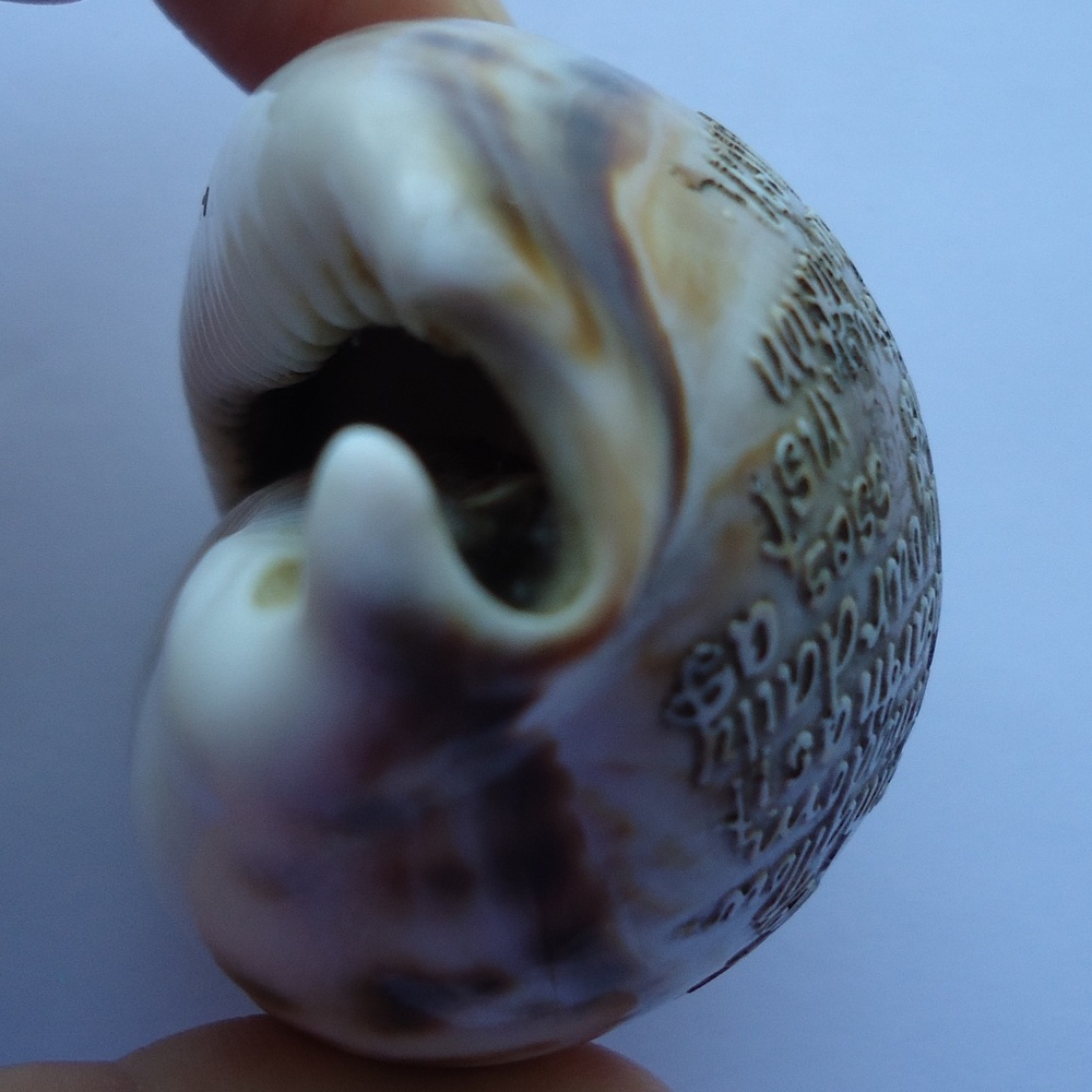 Vintage 3" Carved Natural Shell Seashell Christian Religious Lord’s Prayer - Picture 7 of 9